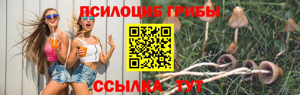 Галлюциногенные грибы Magic Shrooms  Вход с VPN  Галлюциногенные грибы Psilocybe  Клинцы 